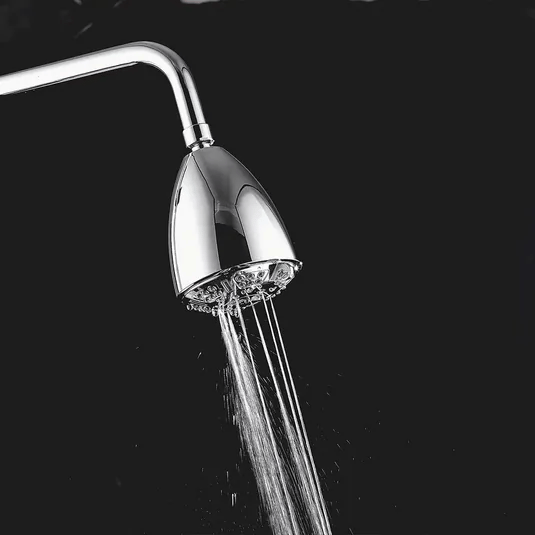 Pommeau de douche VitalityPro